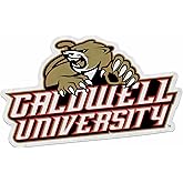 Rico Industries NCAA Caldwell CC/Tech Cobras Shape Cut Pennant - Home and Living Room Décor - Soft Felt EZ to Hang