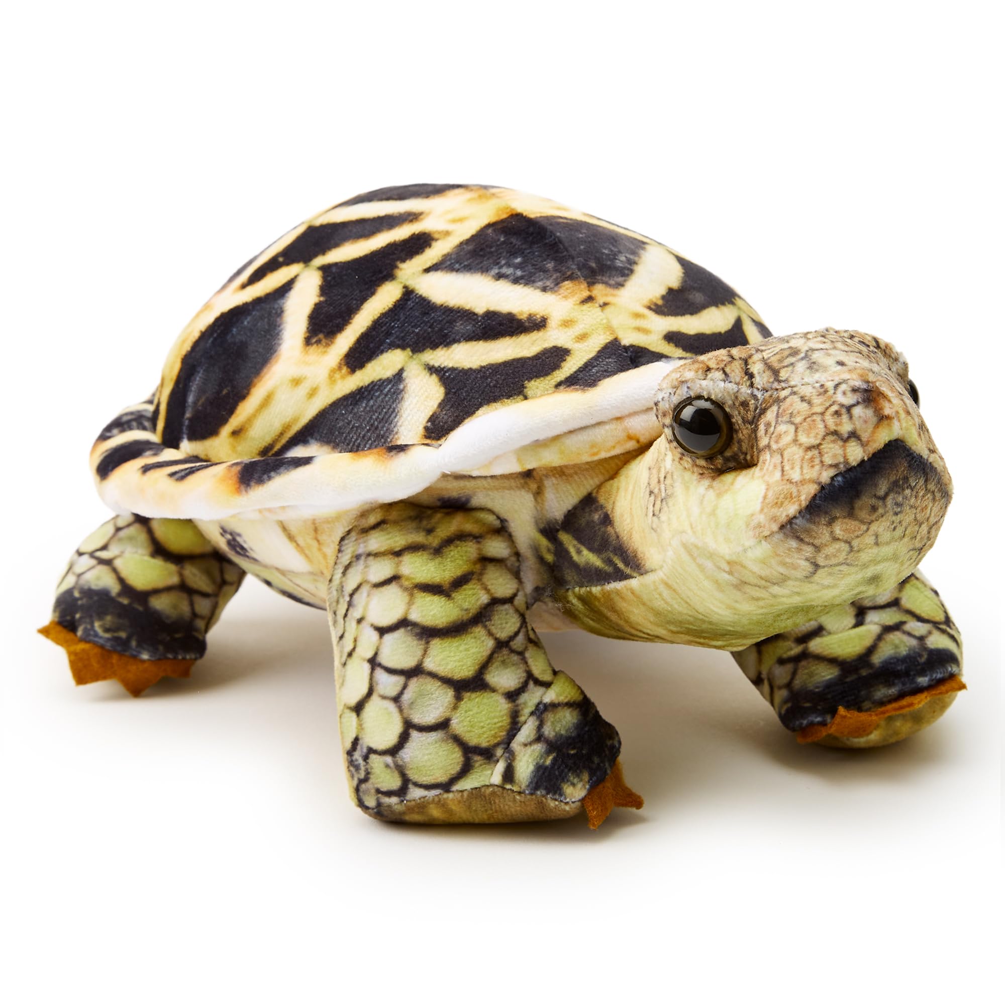 Zappi Co - Children's Realistic Soft Cuddly Plush Toy Animal - Perfect Playtime Companions for Children with Lifelike Detail featured Tiktok (26cm Length) (Indian Star Tortoise) — image 1