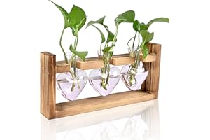 MTSIGNS Plant Terrarium Propagation Stations Hydroponics Home Garden Decoration Gift for Women with Wooden Stand Heart Shaped Colored Glass Vase