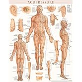 Acupressure Poster (22 x 28 inches) - Laminated: Anatomy of Points for Acupressure & Acupunture