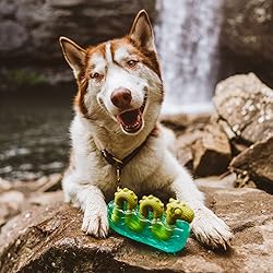 Barkbox Super Chewer Tough Dog Chew Toys for