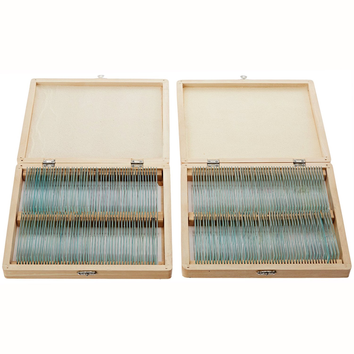 AmScope PS200A Prepared Microscope Slide Set for Basic Biological