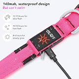 KOSKILL Light Up Dog Collar USB Rechargeable Pink M Adjustable Waterproof view 4
