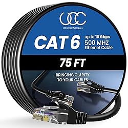 Cat 6 Ethernet Cable 75 ft, 10Gbps High Speed