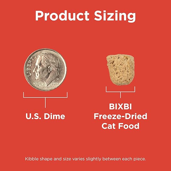 BIXBI RAWBBLE FREEZE DRIED CAT FOOD, BEEF RECIPE, 10 OZ – 97% MEAT AND ORGANS, NO FILLERS – PANTRY-FRIENDLY RAW CAT FOOD FOR MEAL, TREAT OR FOOD TOPPER – USA MADE IN SMALL BATCHES