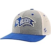 ZHATS NCAA Unisex-Adult NCAA Officially Licensed Hat Snapback Estate Renown