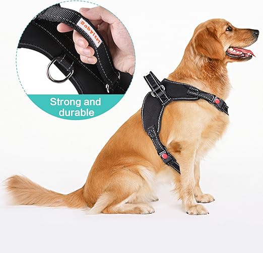 babyltrl dog harness