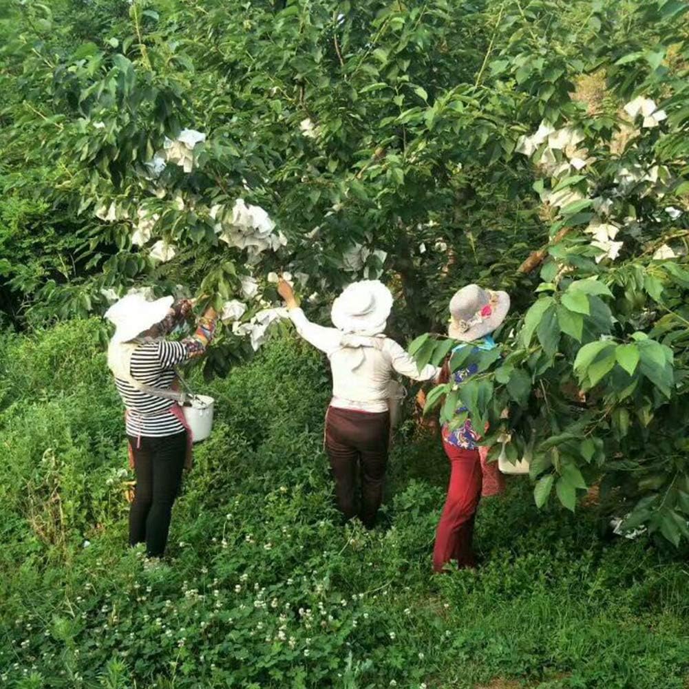 EASYBUY 50 PCS Fruit Plants Flowers Seeds Protection Netting Bags,fruit Insect Bird Proof Bag - Image 5