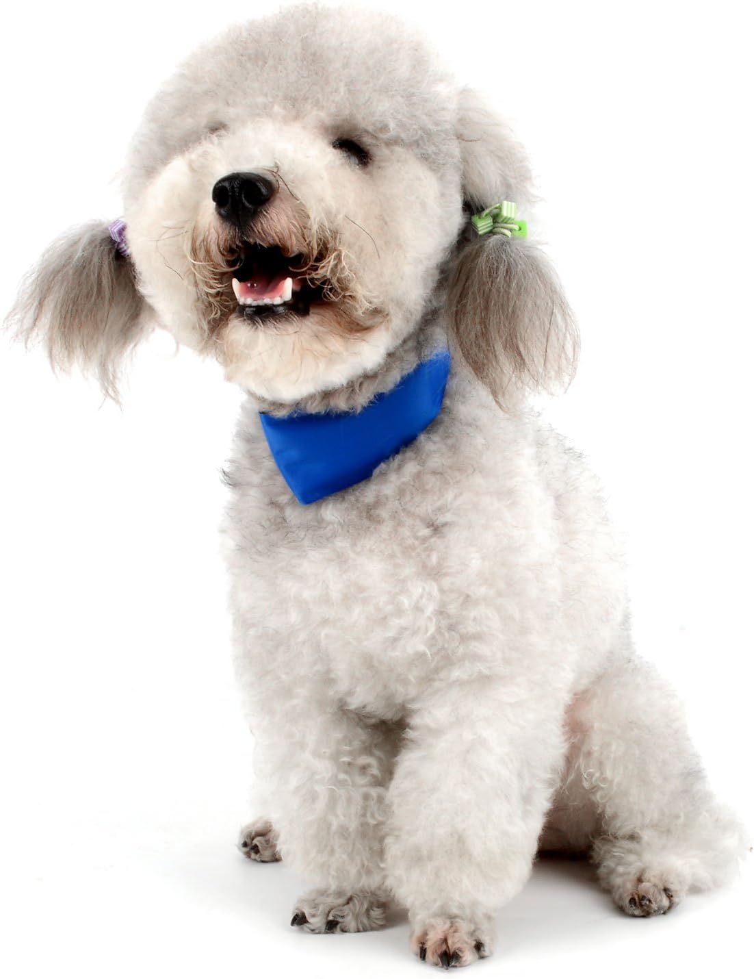 Amazon Ranphy 犬用クールバンダナ ペット用冷却首輪 ひんやりスカーフ ネッククーラー 調節可能 熱中症 暑さ対策 犬 冷感スカーフ 冷え冷え 首冷却 保冷剤 夏用品 犬猫兼用 ブルー M Ranphy ベーシック首輪 通販