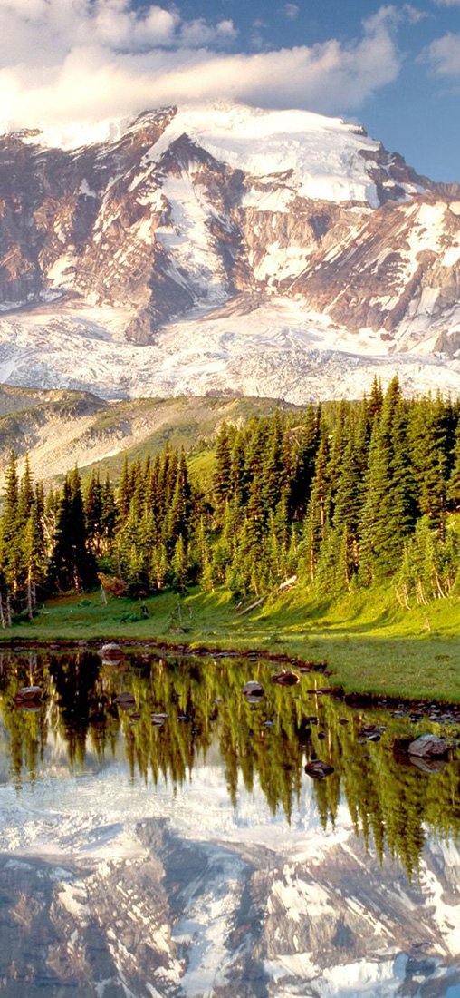 PeelitStickit, Beautiful Nature Wall Murals, ID-0208, vinyl