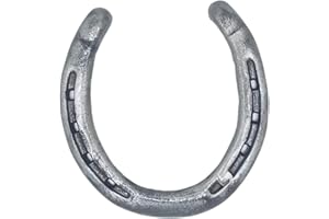 LBH MARKET Lucky Horseshoe Decor for Home Authenic Worn Horseshoe (Polished)