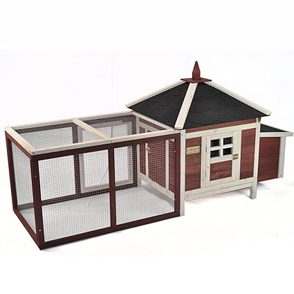Amazon.com Advantek The Prairie Home Chicken Coop Pet