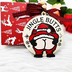 Funny Christmas Ornaments 2025, Funny Ornaments for