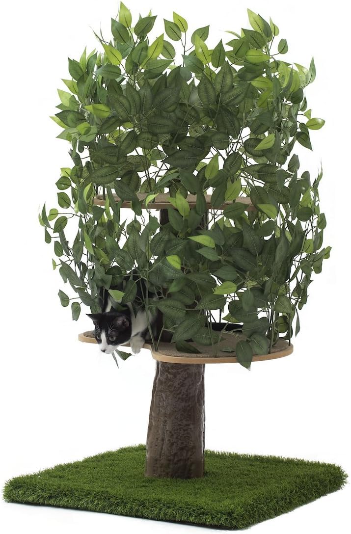 On2 Pets Cat Tree with Leaves Made in USA, Medium Cat Condo & Cat Activity Tree in EverGreen : Pet Supplies