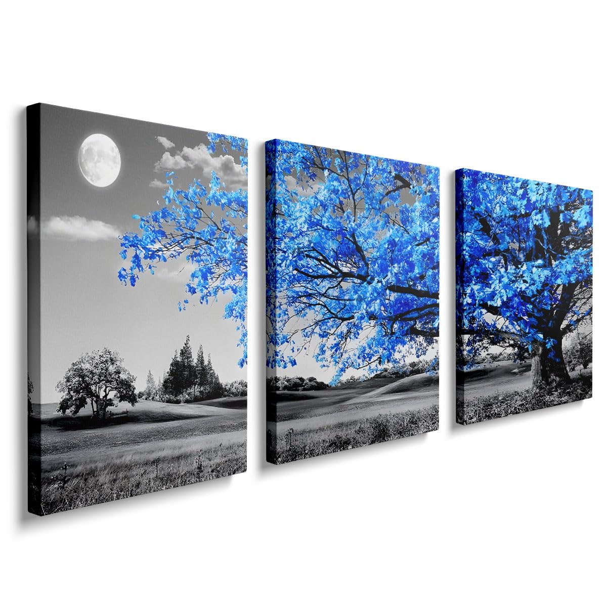 prinfantasy Wall Art for Living Room Home Decor Canvas Pictures for Wall Art Photo Print for House Decoration, YH061
