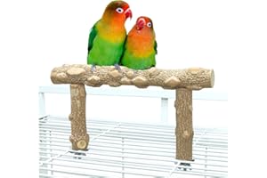 KINTOR Bird Perch Stand, Bird Cage Top Perch Gym,Natural Wood Parrot Branch for Small Medium Large Parrot (S)
