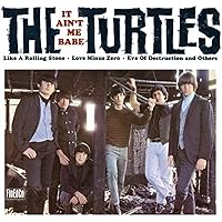 The Turtles Complete Original Albumタートルズ TURTLES - The Complete Original Album Collection - Amazon