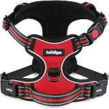 rabbitgoo Dog Harness Medium with Neck Release Buckle Front Back Clips Red M