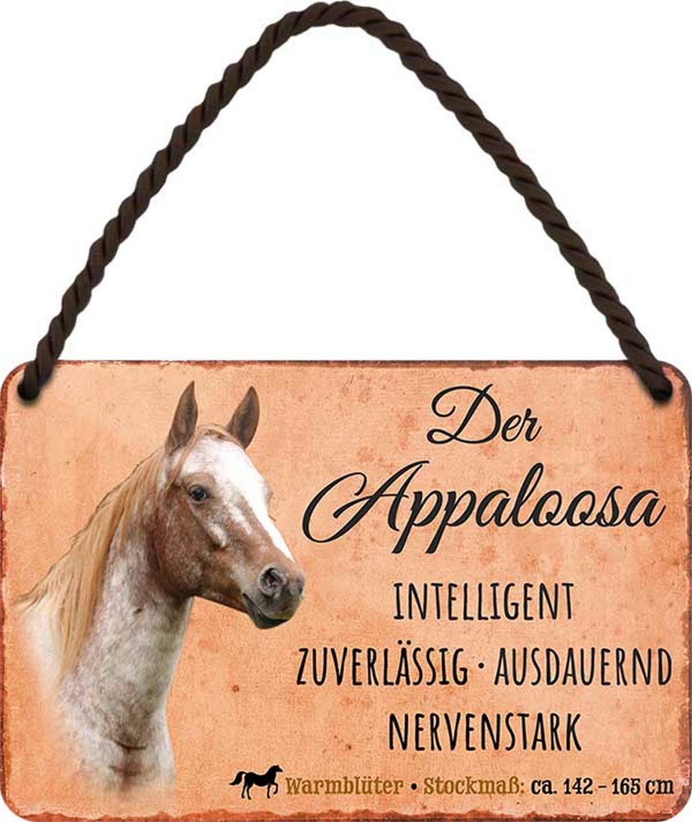 N / A HS116 Metal Sign with German Text "Der Appaloosa" 18 x 12 cm