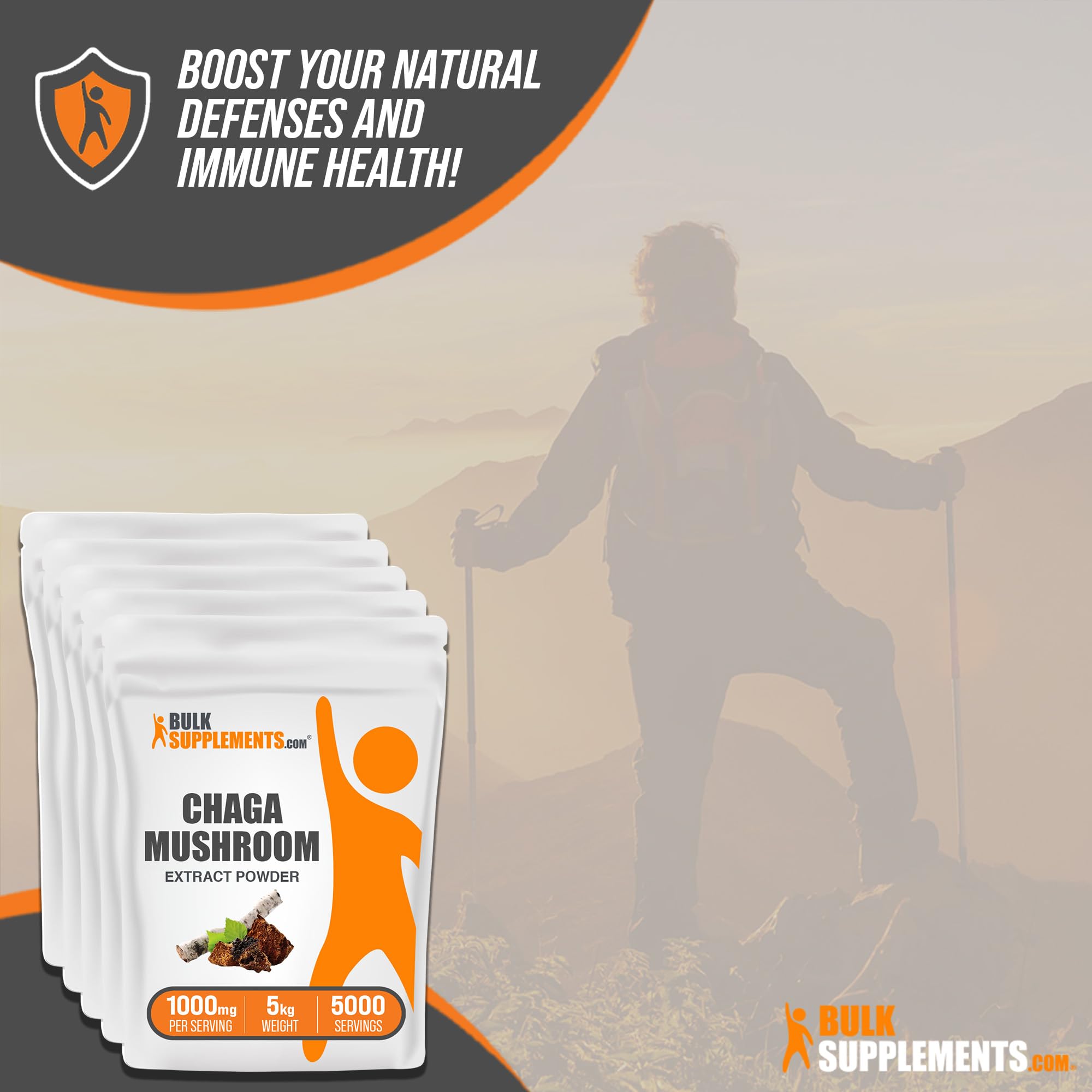 BulkSupplements.com Chaga Mushroom Extract Powder - Mushroom Supplement, from Chaga Mushrooms - 1000mg of Chaga Powder Extract per Serving, Gluten Free (5 Kilograms - 11 lbs)