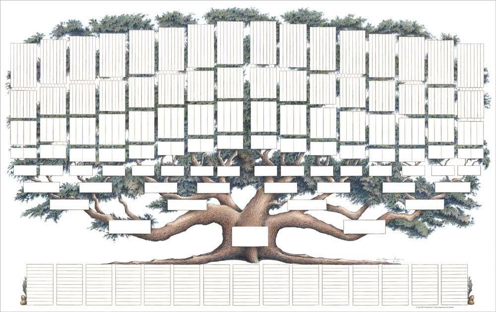 Which Is The Best Easy Genie Fan Family Chart 4 Generations