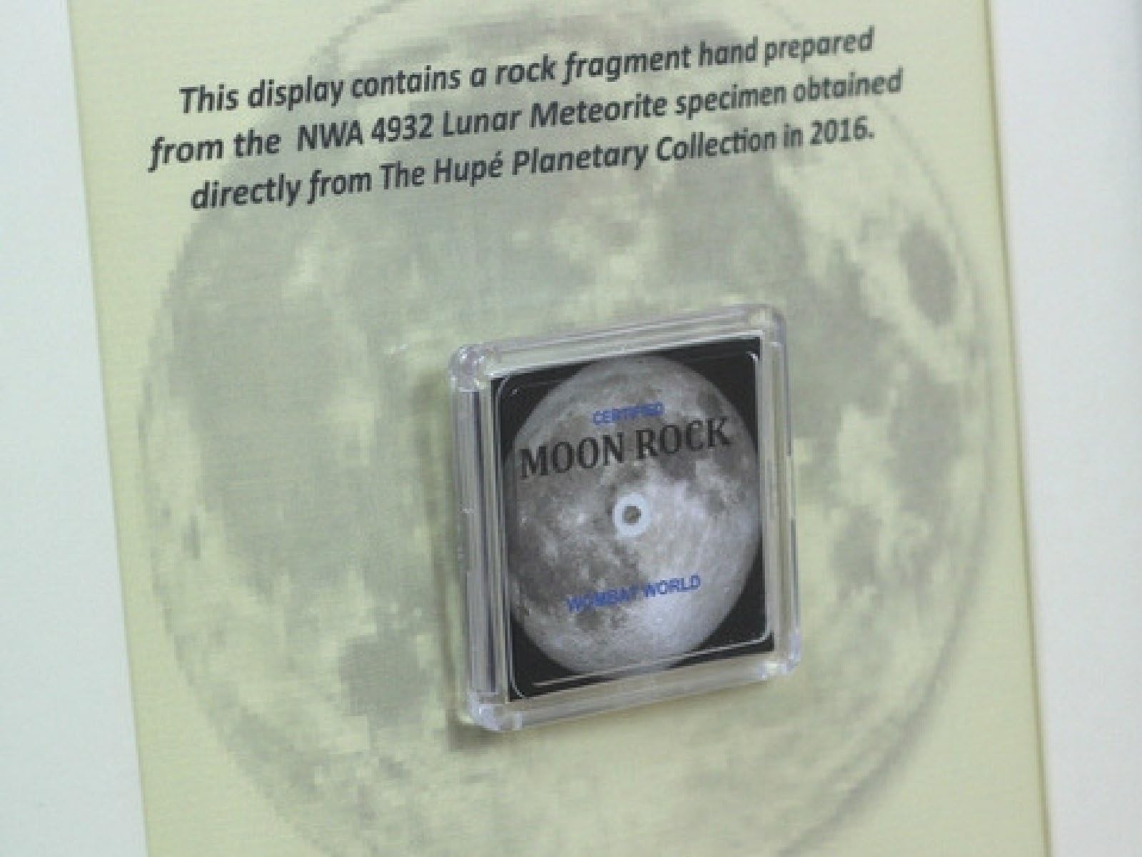 Wombatworld Genuine Authentic Astronaut Moon Rock Fragment Space Meteorite 6mg with Certificate