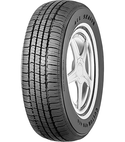 Amazon.com: Nexen Winguard Winspike Studdable Winter Tire - LT245