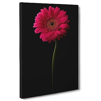 Cadre Marguerites Fleurs Multicolores Abstrait Peinture