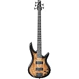 Ibanez 5 String Bass Guitar, Right, Natural Gray Burst (GSR205SMNGT)