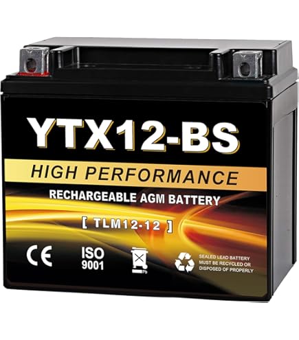 Amazon.com: YUASA YTX12-BS BATTERY : Automotive