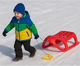 Prosperplast Sanki Little Seal Sledge Steel Runners Handle Cord Color Varies view 3