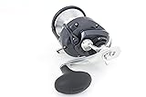 SHIMANO Torium 30 HGA Saltwater Star Drag Fishing