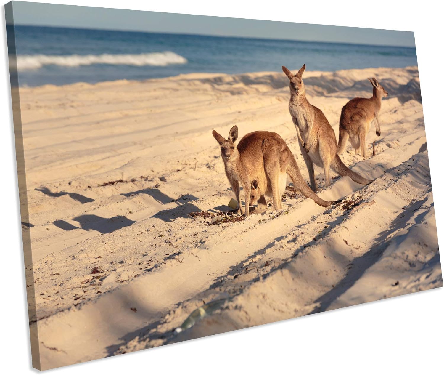 Che3423erth Unframe Canvas Printing Kangaroos Wildlife
