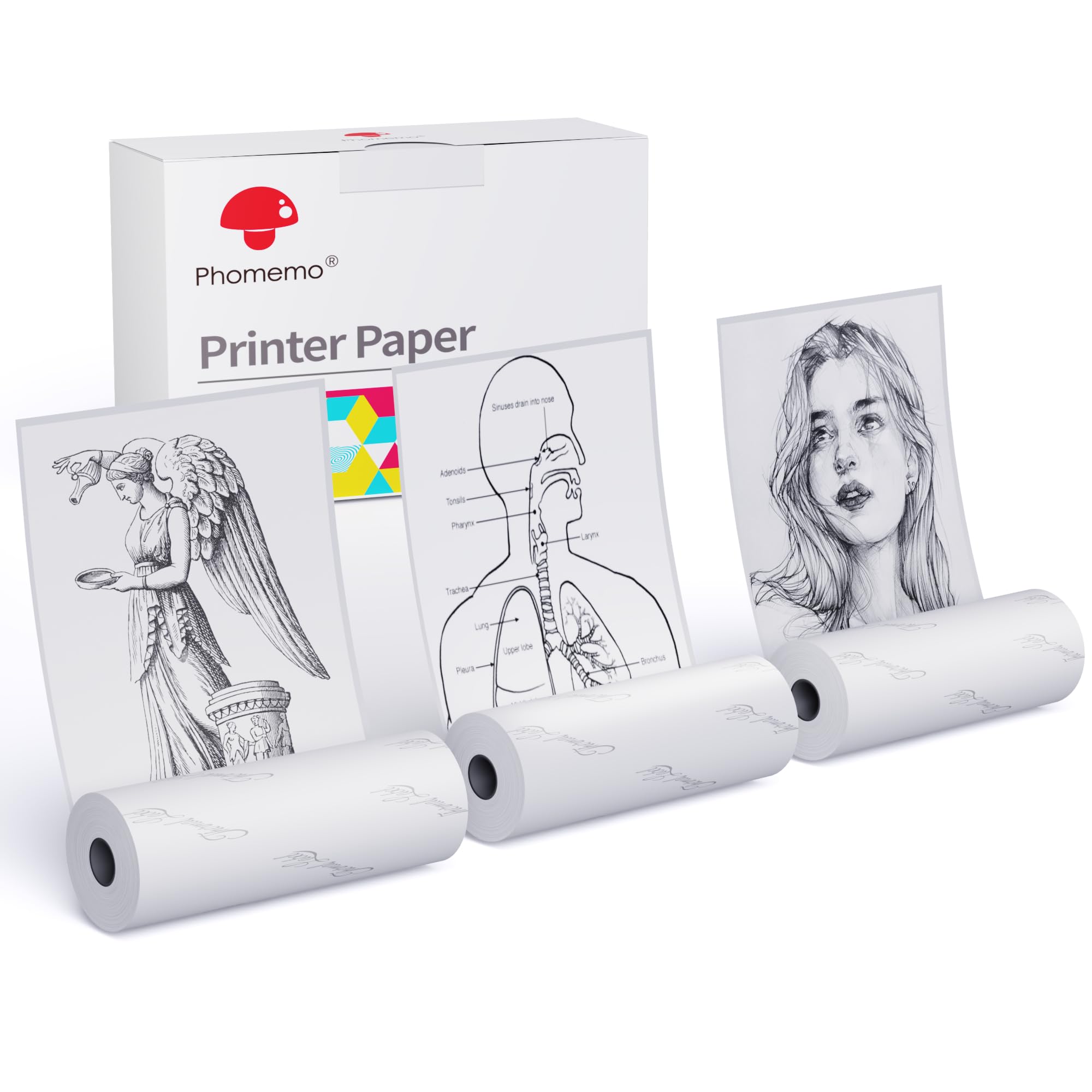 Phomemo Printer Paper, White Self Adhesive Paper (Width:53mm) for 2 Years Sticker Printer Paper Rolls for Phomemo M02/M02 Pro/T02/M02S Sticker Maker, 3-in-1 Set
