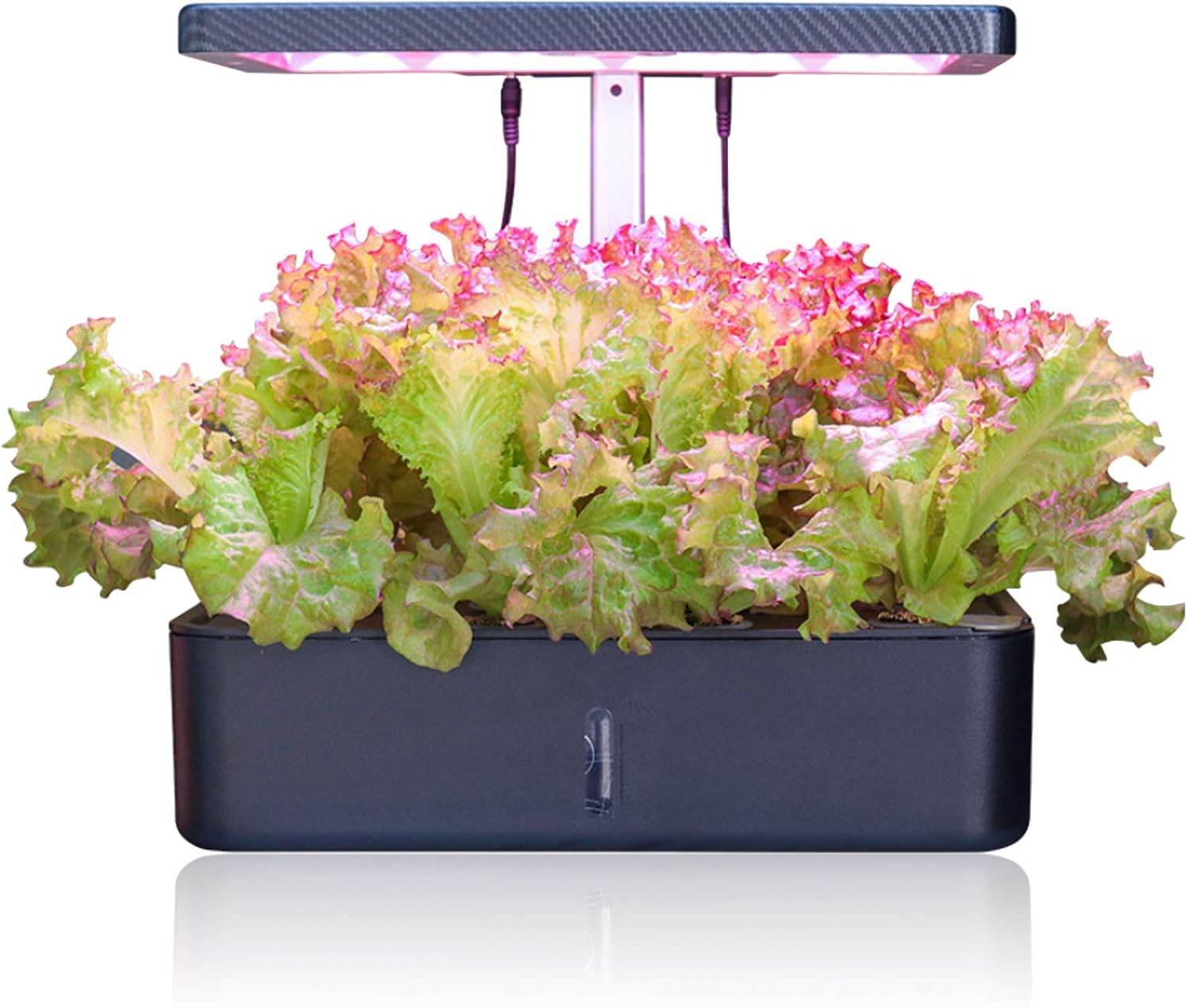 Migaven Hydroponics Growing System Indoor Herb Garden Starter Kit with