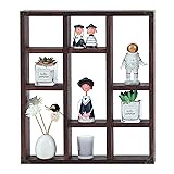 FIRMINANA Rustic Shadow Box Shelf,17.7x15.7-Inch