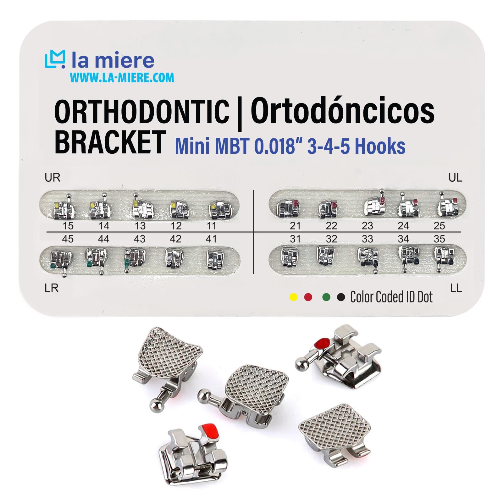 20PCS Teeth Model Braces, Typodont Brackets, 0.018