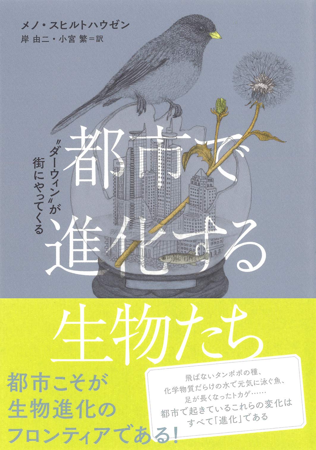 都市で進化する生物たち ダーウィン が街にやってくる Schilthuizen Menno スヒルトハウゼン メノ 由二 岸 繁 小宮 本 通販 Amazon