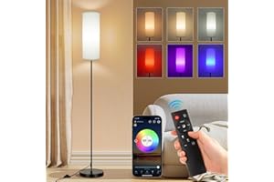 FRIDEKO HOME Floor Lamps for Living Room, Dimmable Colors Temperature & Brightness, 67" Modern Floor Lamp with Remote, Tall S