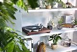 Audio-Technica LPW50BTRW Manual Belt-Drive Turntable Rosewood 33/45 RPM view 8