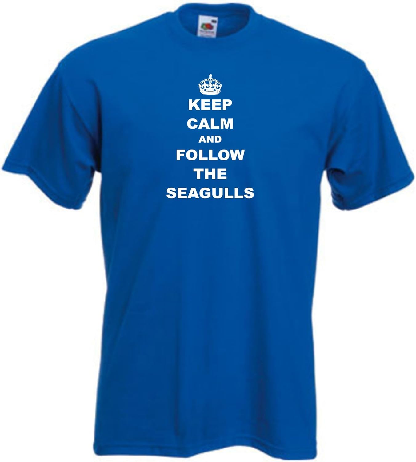 T Shirt Brighton And Hove Albion Fc Keep Calm And Follow The Seagulls Football Club T Shirt All Sizes Available Blue Size Xl Amazon Co Uk Sports Outdoors