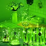 cshare Green Fairy Lights 5M Battery Operated 50 LEDs Silver Wire view 7