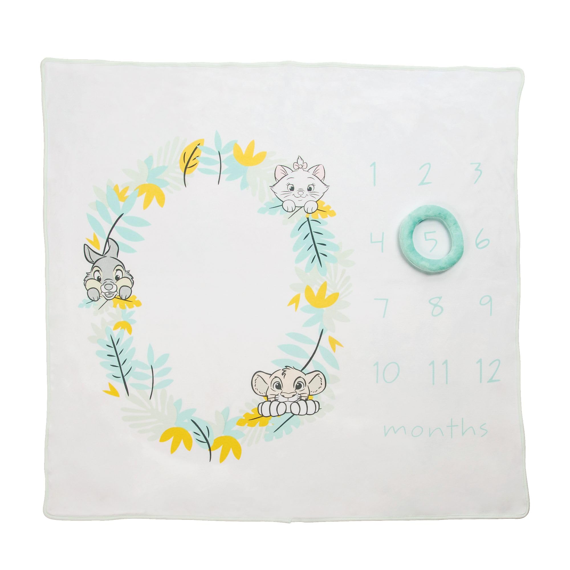 Enesco Disney Baby Collection Disney Baby Milestone Blanket Nursery Set