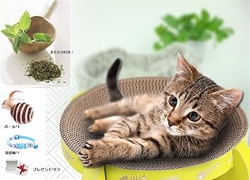 Amazon Pawise 猫用ハンモック スクラッチャー ダンボール 段ボール 爪とぎ おもちゃ おしゃれ 玩具付き M状 Pawise 爪とぎ 通販