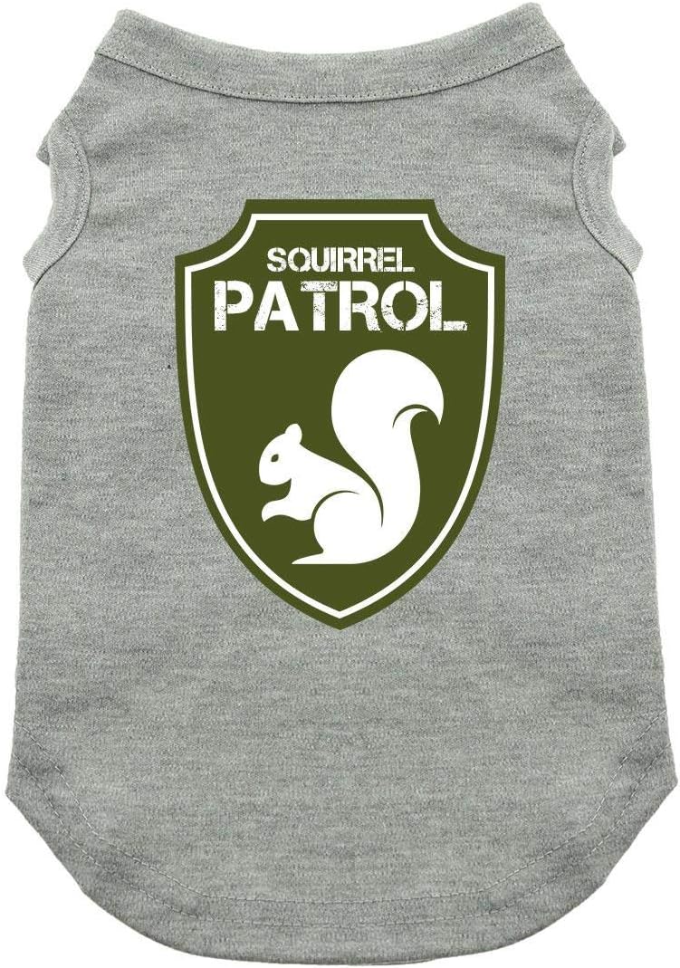 akc dog shows near me