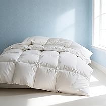 Martha Stewart - Queen Duvet Cover Set, Cotton-Rich Plain Weave