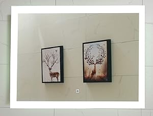 Lighted Bathroom Mirror Dimmable Wall Mounted LED Mirror GS084D-4836(48"X36" inch) with Memory Function