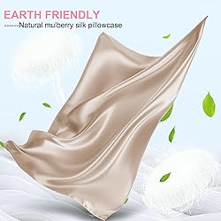 Mulberry Silk Pillow Cases 2 Pack Standard Size
