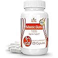 Logic Nutra Premium Mastic Gum Capsules - Natural Gastrointestinal Support Supplement, 1000mg Per Serving - 120 Capsules (1 B