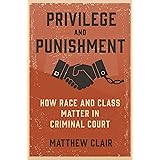 Privilege and Punishment: How Race and Class Matter in Criminal Court